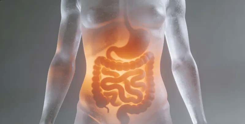 荆州胃癌靶向用药39基因检测（组织）图片1